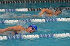 Swimming vs Bentley  Wheaton College Swimming vs Bentley. - Photo By: KEITH NORDSTROM : Wheaton, Swimming, Bentley